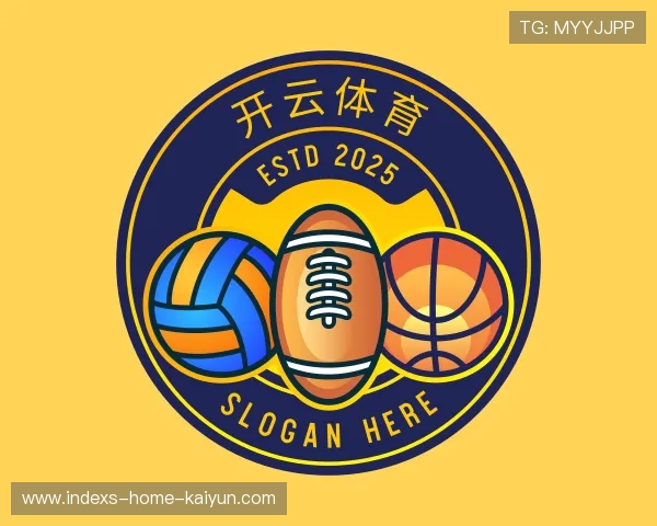 关于开云网页版